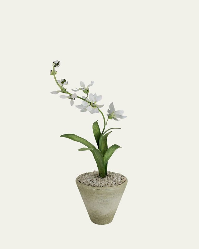 Freesia March Birth Flower in White Terracotta Pot